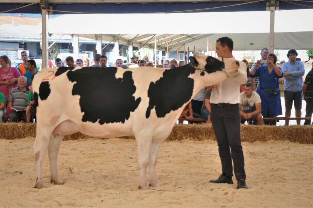 Biba, rejec Jurij Zidar, 2. mesto prvesnice ČB pasme