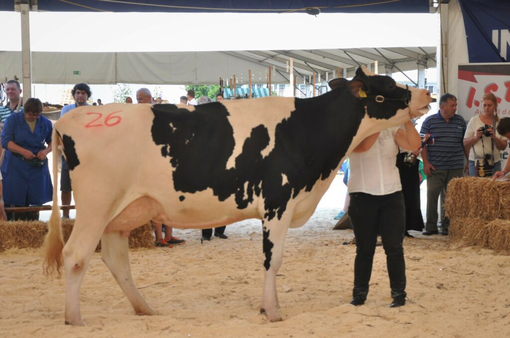 Jeba, rejec Jurij Zidar, 1. mesto prvesnice ČB pasme