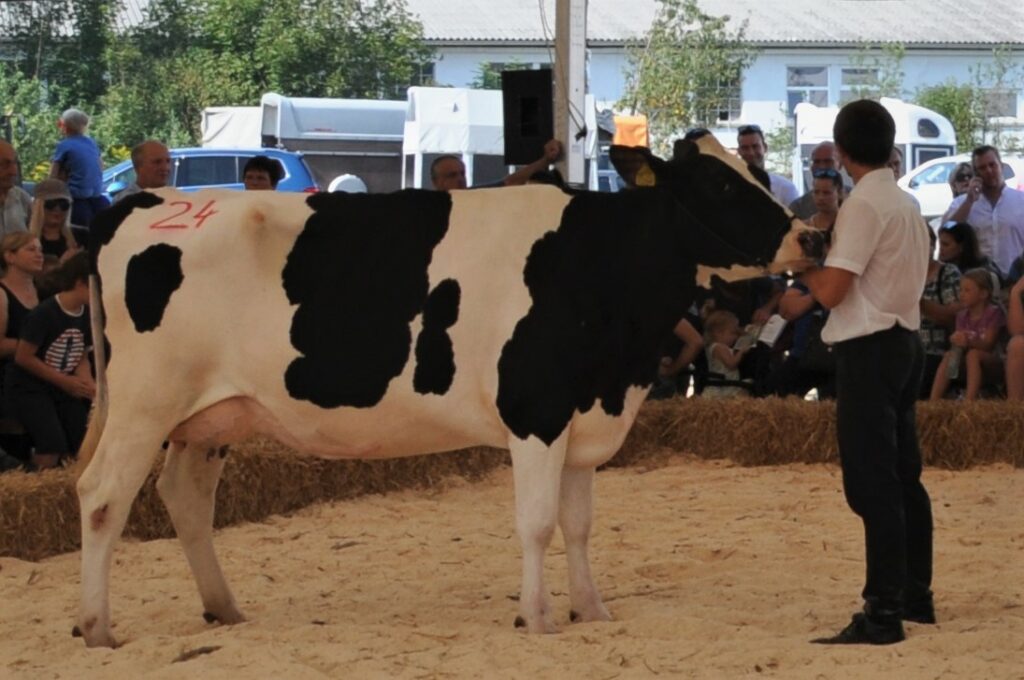 Sila, rejec Jurij Zidar, 3. mesto prvesnice ČB pasme