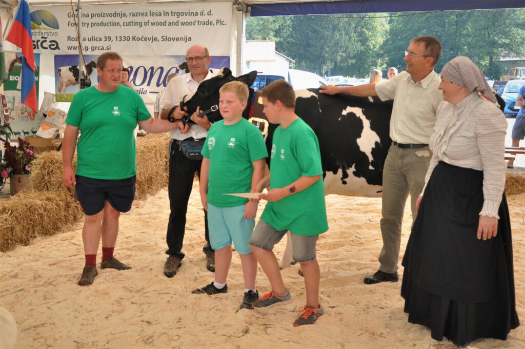 Maša, rejec Jurij Zidar, 1. mesto krave, ŠAMPIONKA in ŠAMPIONKA VIMENA ČB pasme 