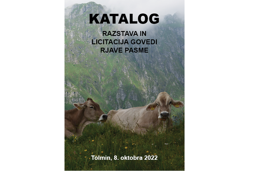 V soboto 8. oktobra 2022 vabljeni v Tolmin na razstavo in LICITACIJO govedi rjave pasme