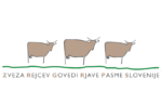 Občni zbor Zveze društev rejcev govedi rjave pasme Slovenije