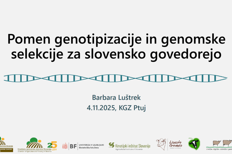 Pomen genotipizacije in genomske selekcije za slovensko govedorejo