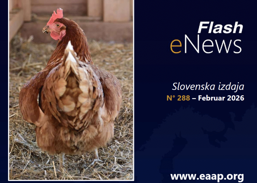 V najnovejšem glasilu EAAP boste našli bogato paleto zanimivih člankov in raziskav, ki obravnavajo različne teme znanosti o živalih.