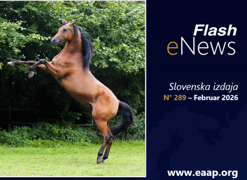 V najnovejšem glasilu EAAP boste našli bogato paleto zanimivih člankov in raziskav, ki obravnavajo različne teme znanosti o živalih.