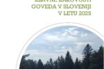 Pregled zakola in klavne kakovosti goved, Slovenija 2025